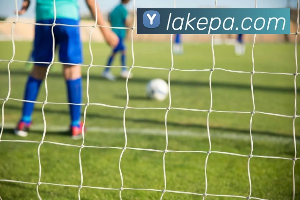 pa真人视讯服务体系